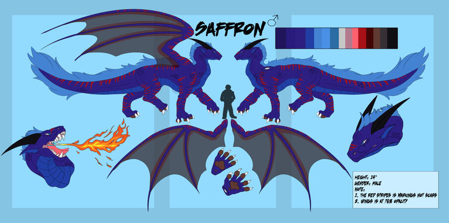 reference/re-design commission for saffron / 1 mirroed full boddy, 2 headshots &amp; extra reference stuff